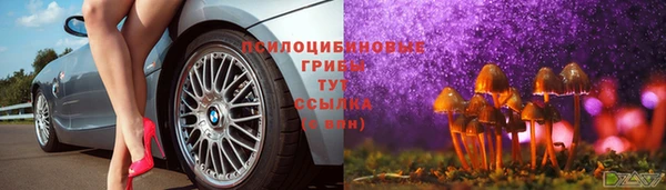 молекула духа Магадан