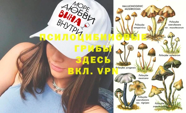 сатива Магас