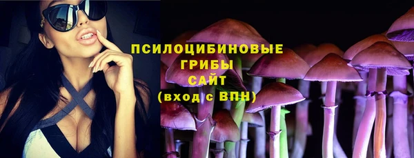 гидра Лихославль