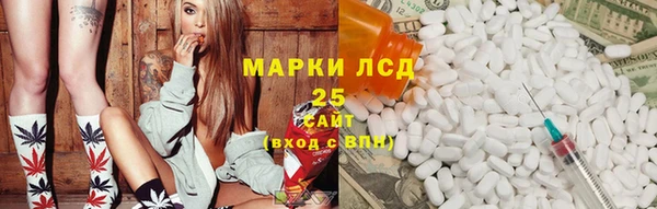 сатива Магас