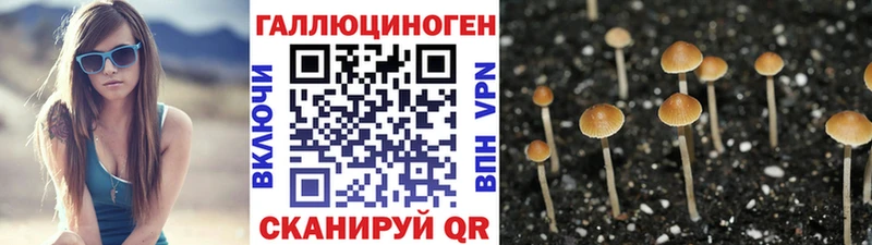 Галлюциногенные грибы Magic Shrooms  Суздаль 